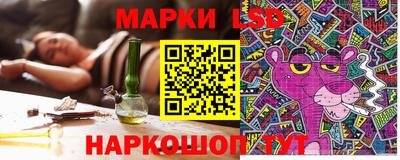 дживик Майкоп