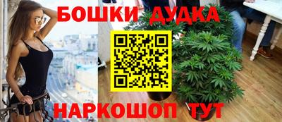 дживик Майкоп