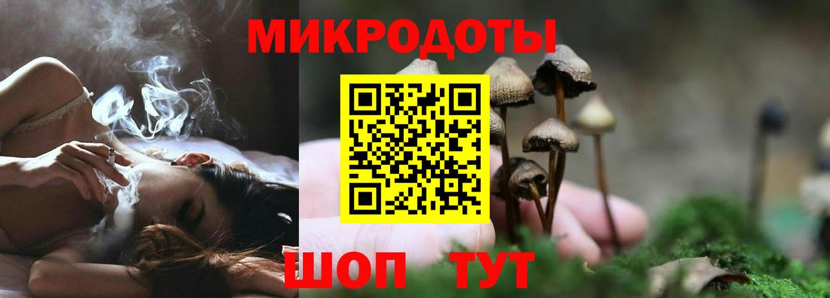 Галлюциногенные грибы мицелий Абакан