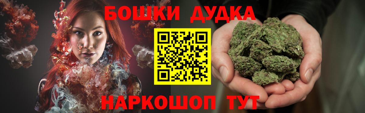 Каннабис сатива Абакан